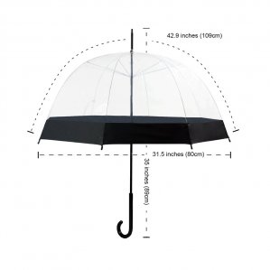 Clear Canopy Bubble Umbrella